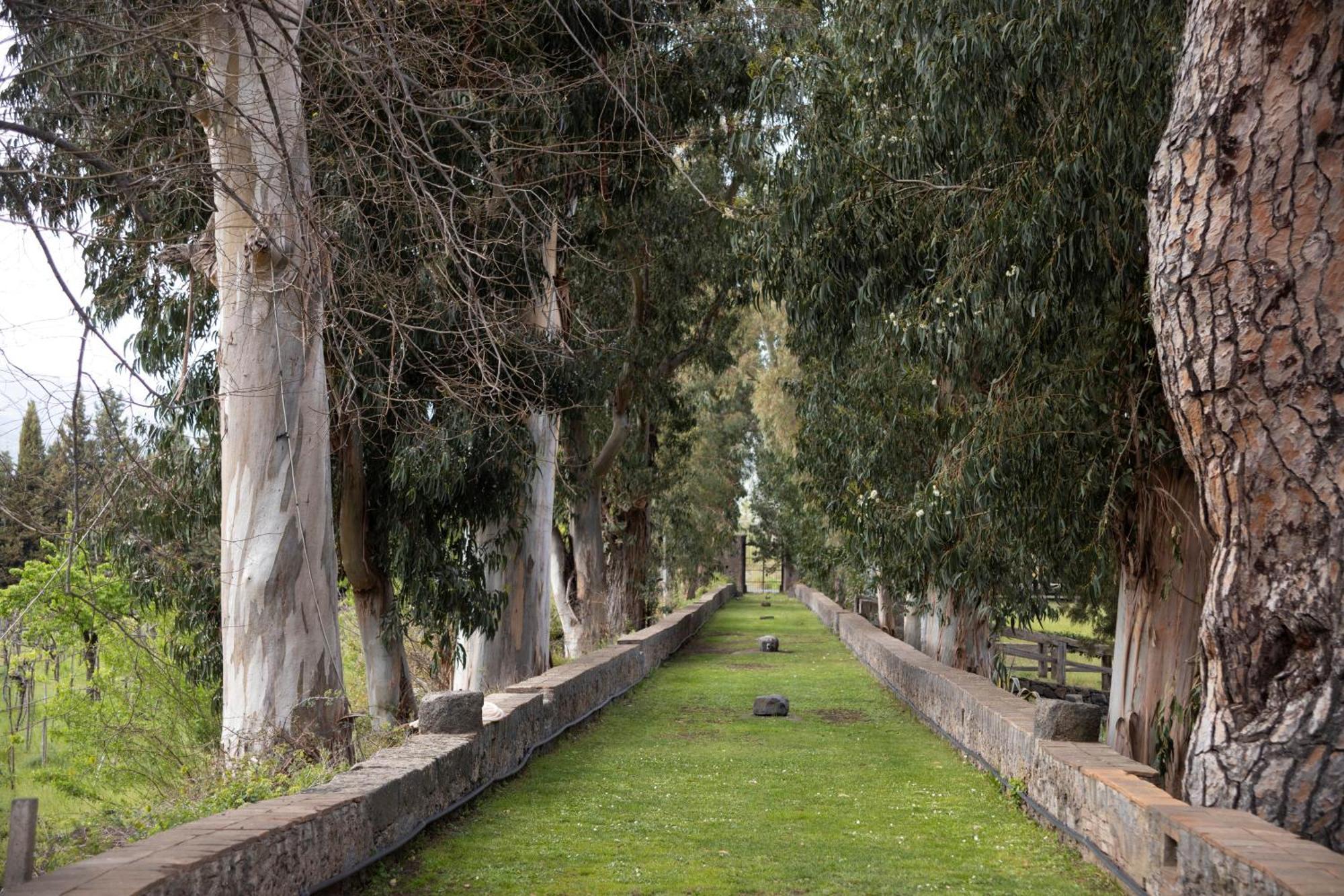 Вілла Parco Statella Montelaguardia Екстер'єр фото